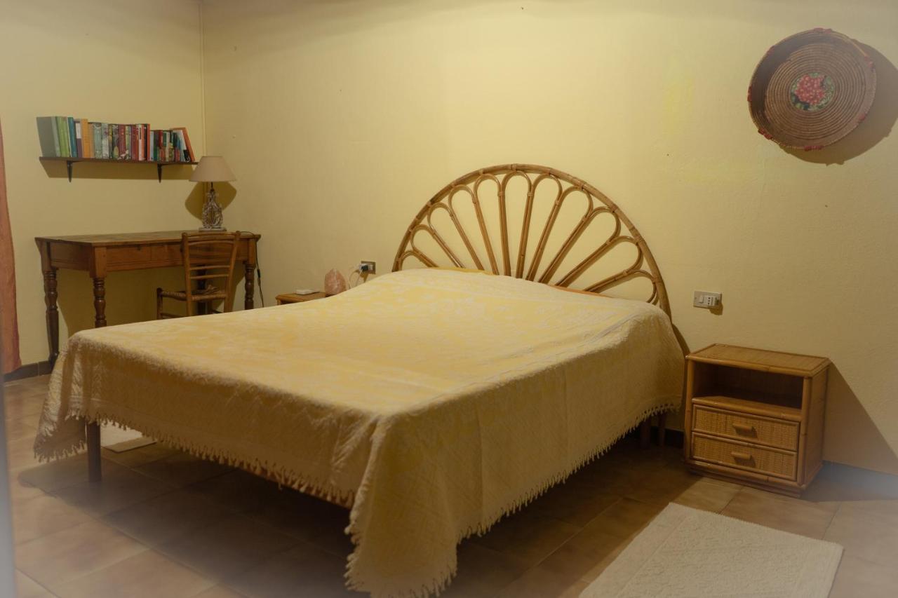 לינה וארוחת בוקר Musei Sa Domu De Ladiri - Matrimoniale Con Giardino מראה חיצוני תמונה