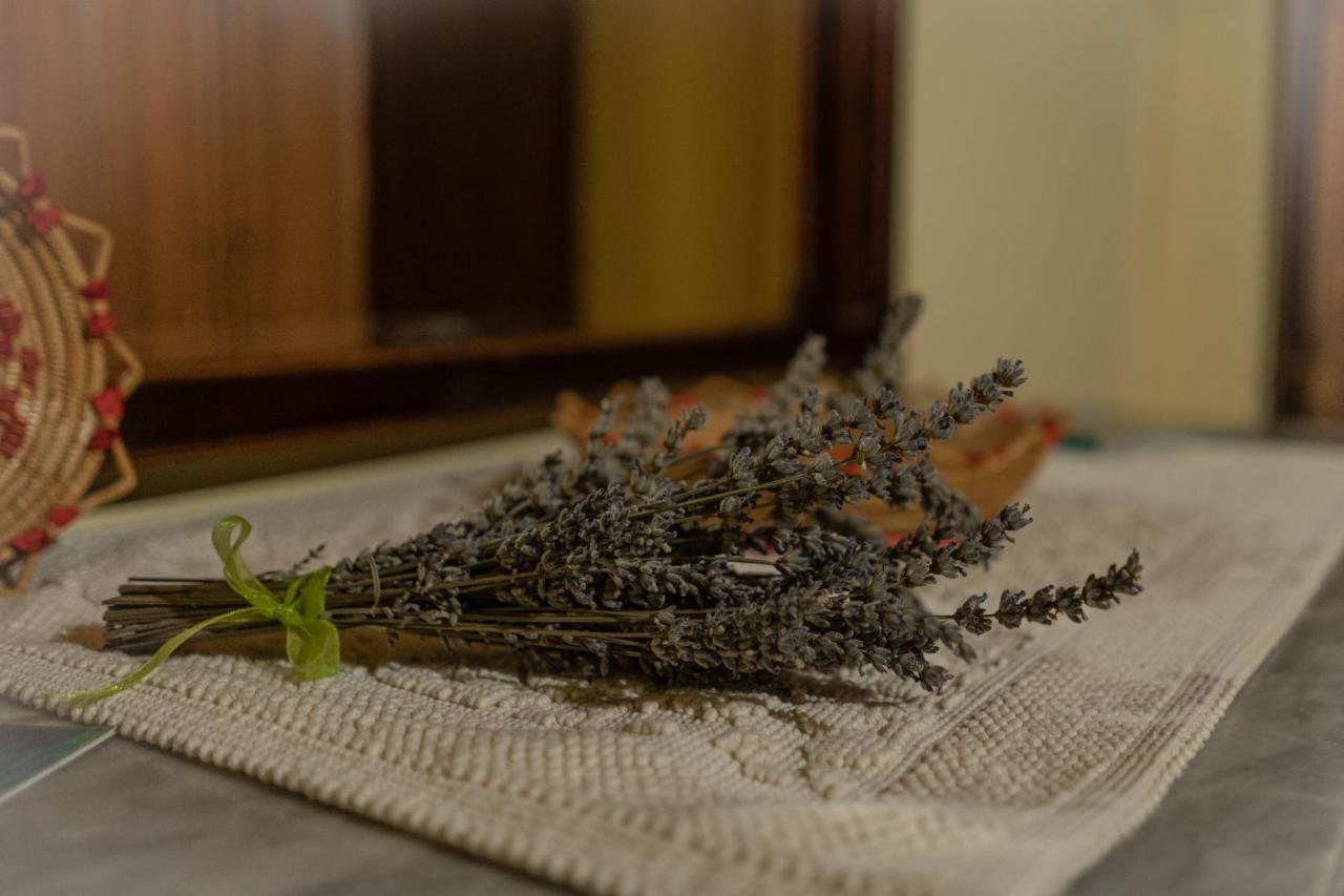 לינה וארוחת בוקר Musei Sa Domu De Ladiri - Matrimoniale Con Giardino מראה חיצוני תמונה