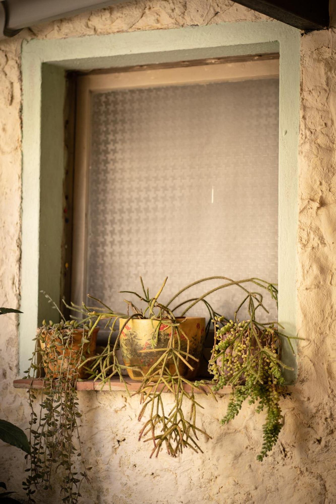 לינה וארוחת בוקר Musei Sa Domu De Ladiri - Matrimoniale Con Giardino מראה חיצוני תמונה